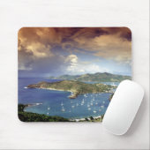 Caribisch gebied, Antigua. Muismat (Met muis)