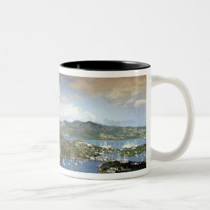 Caribisch gebied, Antigua. Tweekleurige Koffiemok