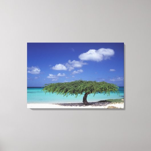 Caribisch gebied, Aruba. Eagle Beach Canvas Afdruk (Voorkant)