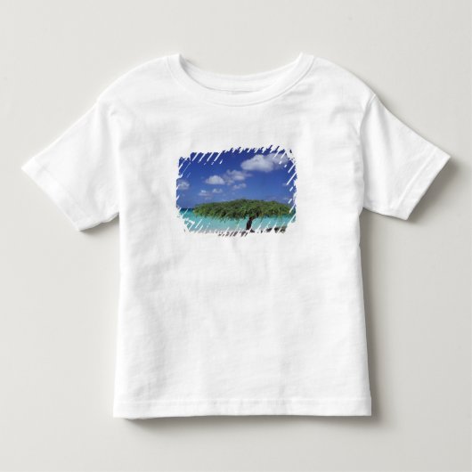 Caribisch gebied, Aruba. Eagle Beach Kinder Shirts (Voorkant)