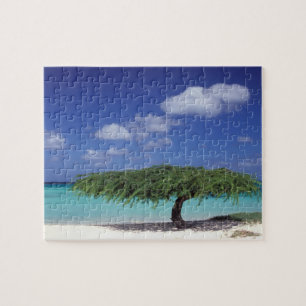 Caribisch gebied, Aruba. Eagle Beach Legpuzzel