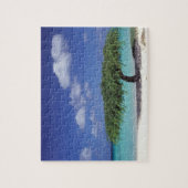 Caribisch gebied, Aruba. Eagle Beach Legpuzzel (Verticaal)