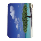 Caribisch gebied, Aruba. Eagle Beach Magneet (Verticaal)