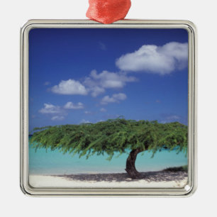 Caribisch gebied, Aruba. Eagle Beach Metalen Ornament
