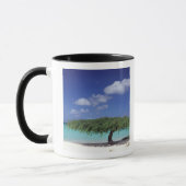 Caribisch gebied, Aruba. Eagle Beach Mok (Links)