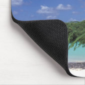 Caribisch gebied, Aruba. Eagle Beach Muismat (Hoek)