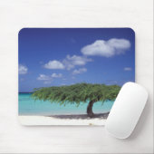 Caribisch gebied, Aruba. Eagle Beach Muismat (Met muis)