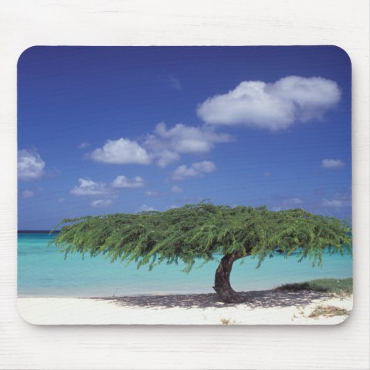 Caribisch gebied, Aruba. Eagle Beach Muismat (Voorkant)
