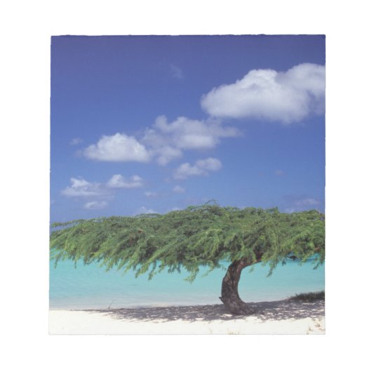 Caribisch gebied, Aruba. Eagle Beach Notitieblok (Voorkant)