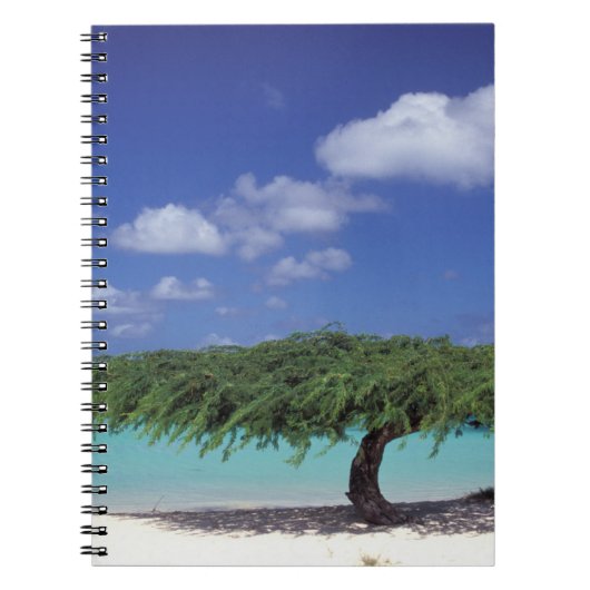 Caribisch gebied, Aruba. Eagle Beach Notitieboek (Voorkant)