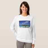 Caribisch gebied, Aruba. Eagle Beach T-shirt (Voorkant volledig)