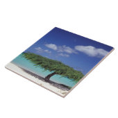 Caribisch gebied, Aruba. Eagle Beach Tegeltje (Zijkant)