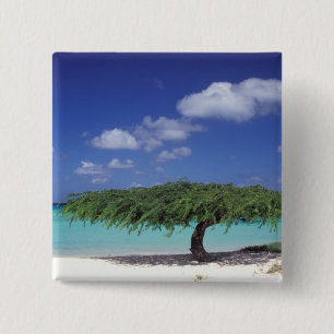 Caribisch gebied, Aruba. Eagle Beach Vierkante Button 5,1 Cm