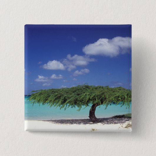 Caribisch gebied, Aruba. Eagle Beach Vierkante Button 5,1 Cm (Voorkant)