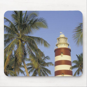 Caribisch gebied, Bahama's, Abaco, Elbow Cay. Hope Muismat