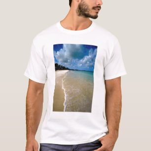 Caribisch gebied, Benedenwindse Eilanden, Antigua, T-shirt