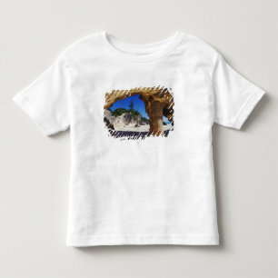 Caribisch gebied, Bermuda, Tucker's Town. Natuurli Kinder Shirts