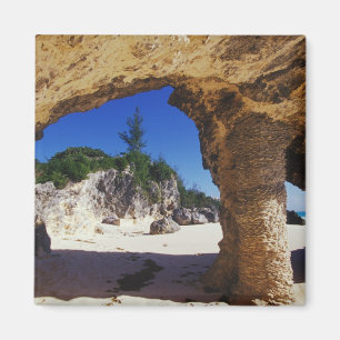 Caribisch gebied, Bermuda, Tucker's Town. Natuurli Magneet