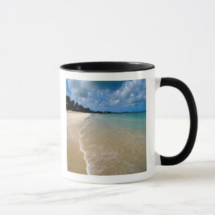 Caribisch gebied, Eilanden onder de wind, Antigua, Mok