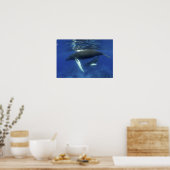 Caribisch gebied, Greater Antilles archipel, Poster (Keuken)