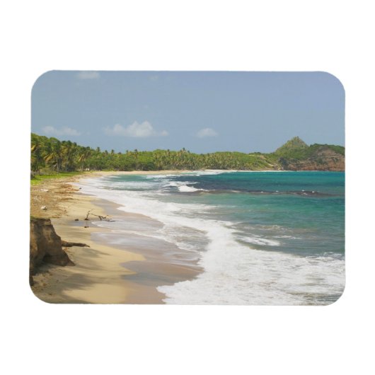 Caribisch gebied, GRENADA, Oostkust, Grenada-baai, Magneet (Horizontaal)