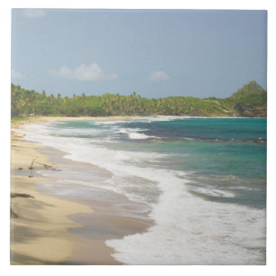 Caribisch gebied, GRENADA, Oostkust, Grenada-baai, Tegeltje