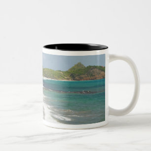 Caribisch gebied, GRENADA, Oostkust, Grenada-baai, Tweekleurige Koffiemok