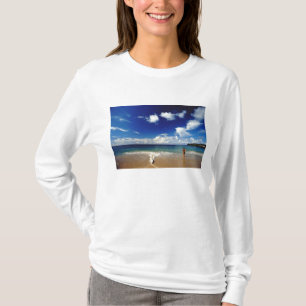Caribisch gebied, Kleine Antillen, West-Indië, 2 T-shirt