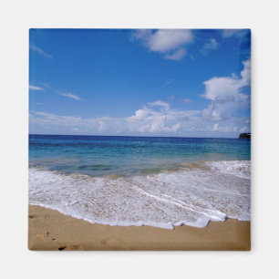 Caribisch gebied, Kleine Antillen, West-Indië, 4 Magneet