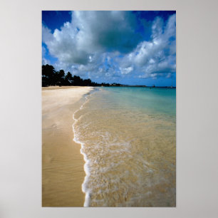 Caribisch gebied, Leeward-eilanden, Antigua, Dicke Poster
