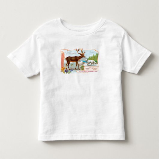  Caribisch gebied (rendieren) en Arctische vos Kinder Shirts (Voorkant)