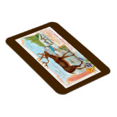  Caribisch gebied (rendieren) en Arctische vos Magneet (Rechterzijde)