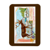  Caribisch gebied (rendieren) en Arctische vos Magneet (Verticaal)