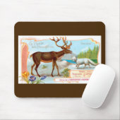 Caribisch gebied (rendieren) en Arctische vos Muismat (Met muis)