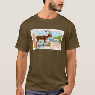  Caribisch gebied (rendieren) en Arctische vos T-shirt