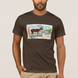 Caribisch gebied (rendieren) en Arctische vos T-shirt