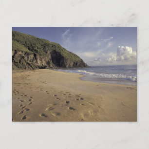 Caribisch gebied, St. Kitts. Voetsporen op Atlanti Briefkaart