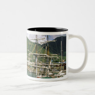 Caribisch gebied, St. Lucia, Soufriere. Boten in Tweekleurige Koffiemok