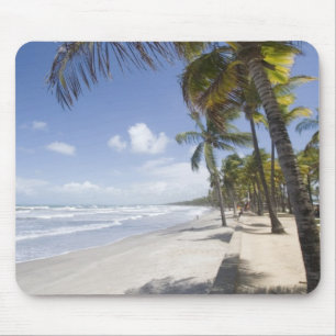 Caribisch gebied - Trinidad - Manzanilla Beach aan Muismat