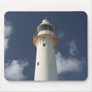 Caribisch gebied, TURKS & CAICOS, Grand Turk-eilan Muismat