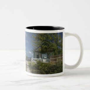 Caribisch gebied, TURKS & CAICOS, Grand Turk-eilan Tweekleurige Koffiemok
