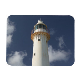 Caribisch gebied, TURKS & CAICOS, Grand Turk Islan Magneet