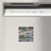 Caribisch, GRENADA, St. George's, St. George's Magneet (Insitu (Vaatwasser))