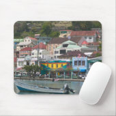 Caribisch, GRENADA, St. George's, St. George's Muismat (Met muis)
