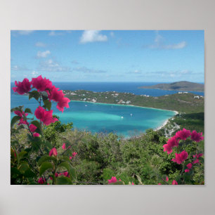 Caribisch Paradijs Tropisch Strand Foto Poster