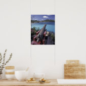 CARIBISCH, St. Barts, Kanon gericht op Baai van Poster (Keuken)