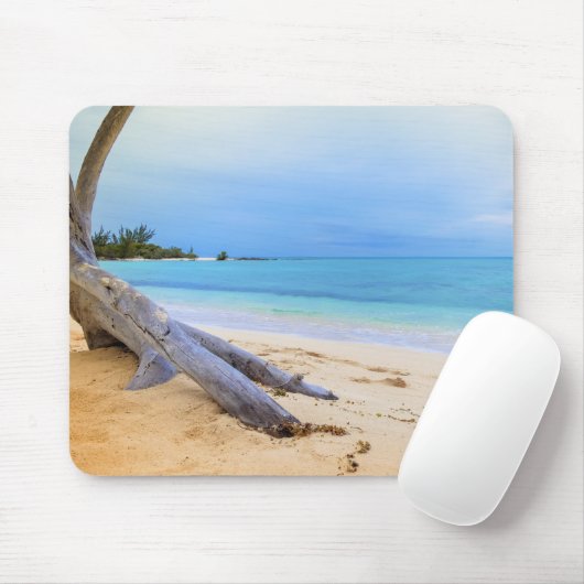 Caribisch strand muismat (Met muis)