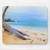 Caribisch strand muismat (Voorkant)