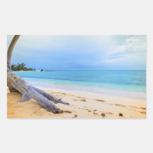 Caribisch strand rechthoekige sticker (Voorkant)