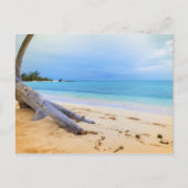 Caribisch strandgezicht briefkaart (Voorkant)